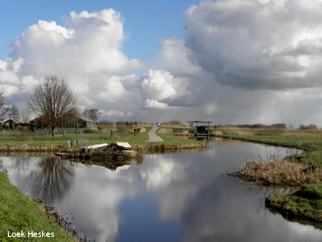 Bodegraven