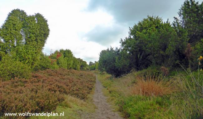 Trage Tocht Spier