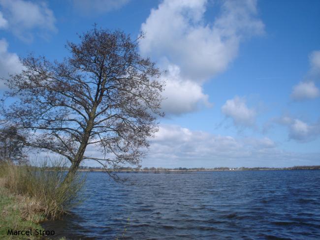 Ankeveense Plassen