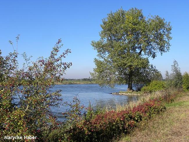 Langs de IJssel