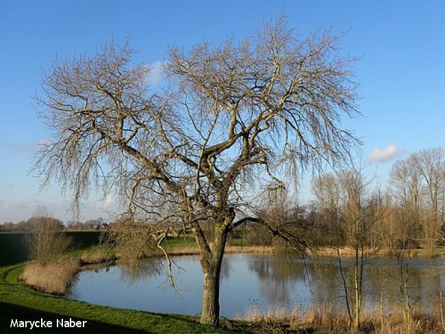 Kolk van Kiezebrink