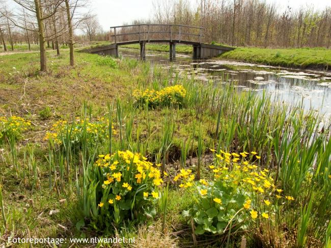  Leidsche Rijn Park 1