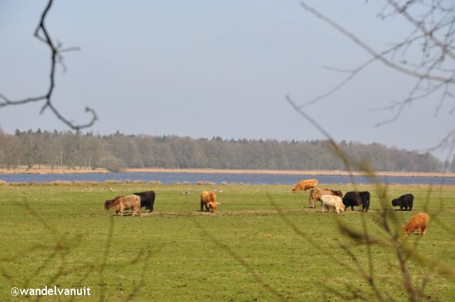 Rondwandeling boswachterij Gees