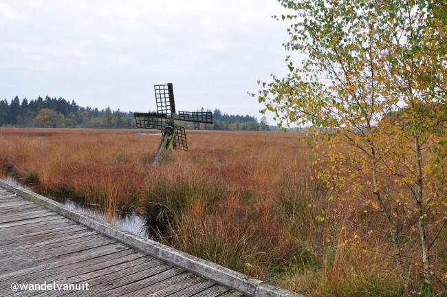 Rondwandeling Boswachterij Grolloo