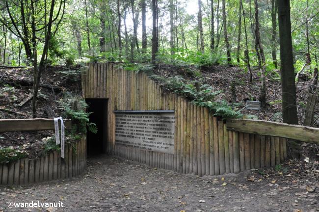 Rondwandeling Diever Drents Friese Wold