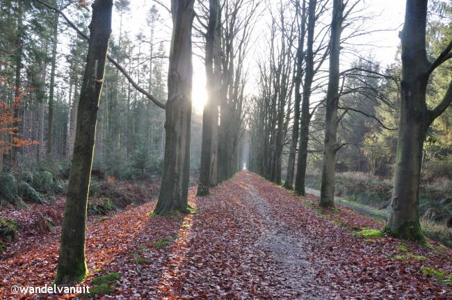 Wandelvanuit Veenhuizen