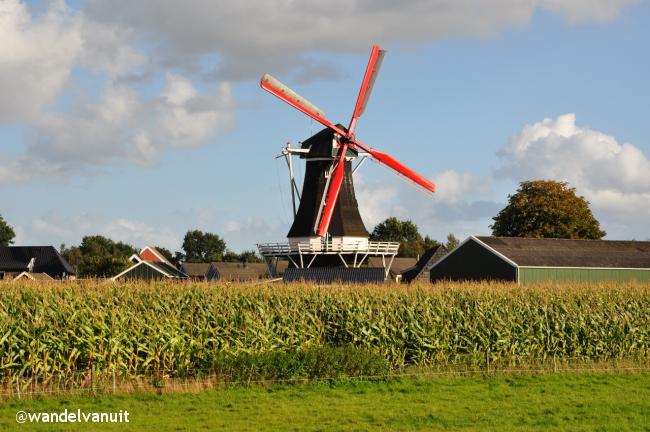 Wandelvanuit Norg