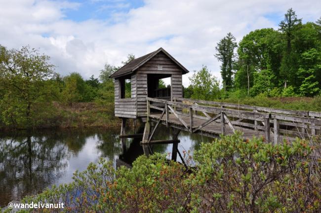 Wandelvanuit Rheeze