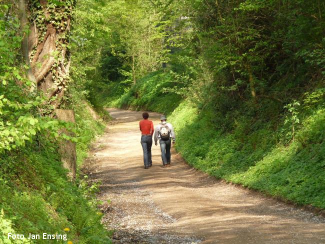 Boswandeling hellingbos Epen