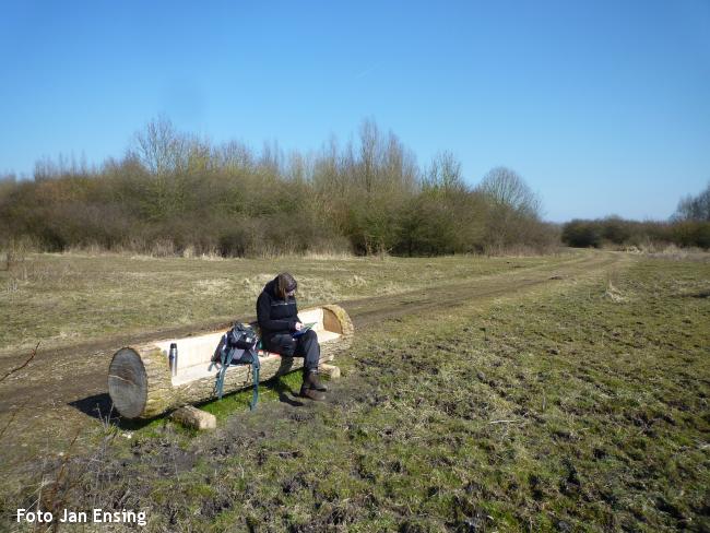 Boswandeling Horsterwold Zeewolde