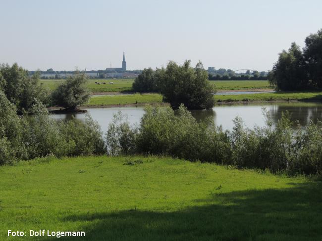 Fraterwaard, zicht op de kerk van Doesburg