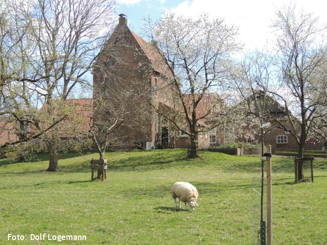 Boerderij Het Spiker in Vierakker