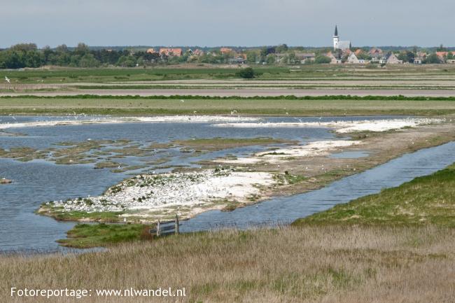 Groene Wissel Den Helder 1 (Texel)