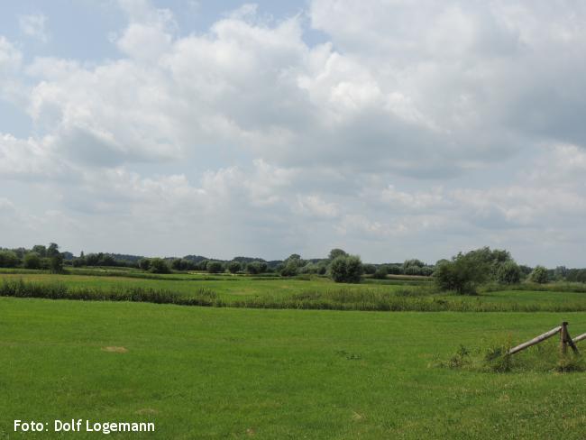 Hol-bol landschap in het natuurgebied Bosterkloot (Bruggeweerdsweg)