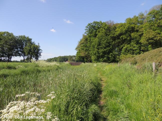 Graspad langs Dommerbeek