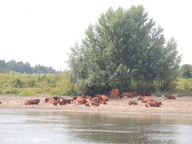 IJsselpad traject 7 Deventer - Olst