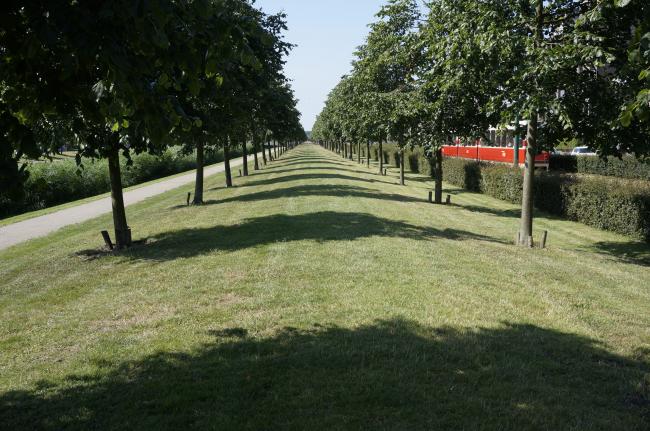 voormalig vliegveld