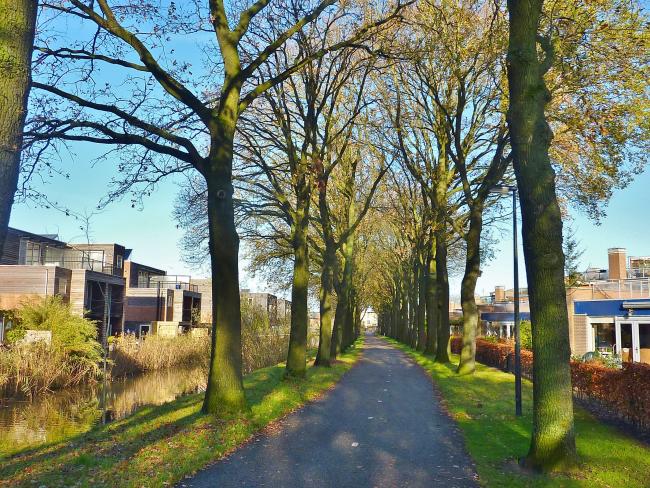 een van de lanen