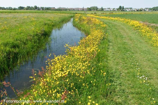 Groene Wissel Schagen