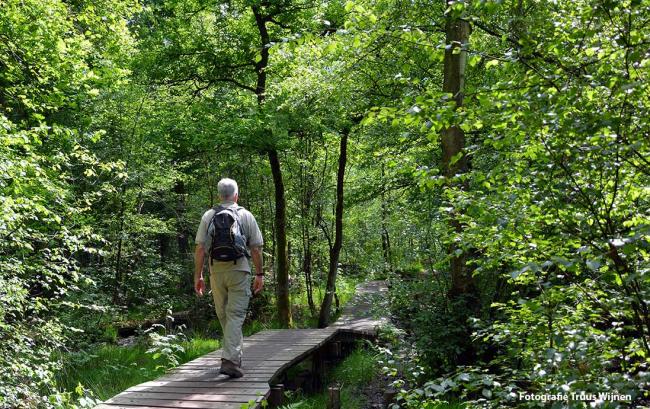 Twentse Tocht Haarmühle - Witte Veen