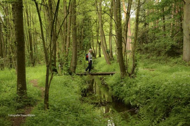 Wandelen op de Duivelshof De Lutte