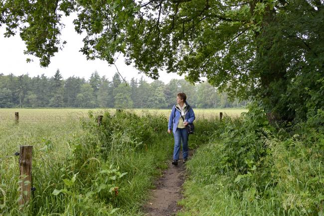Wandeling Hummelo - Laag-Keppel