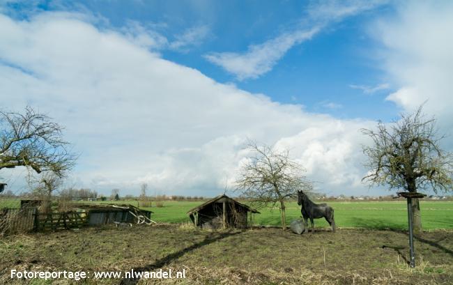 Groene Wissel Lexmond