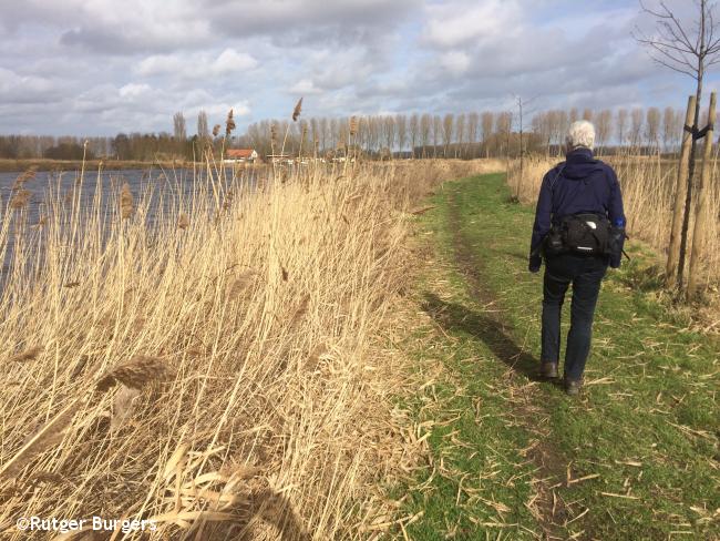 Langs de Grote Kreek bij Rode Sluis