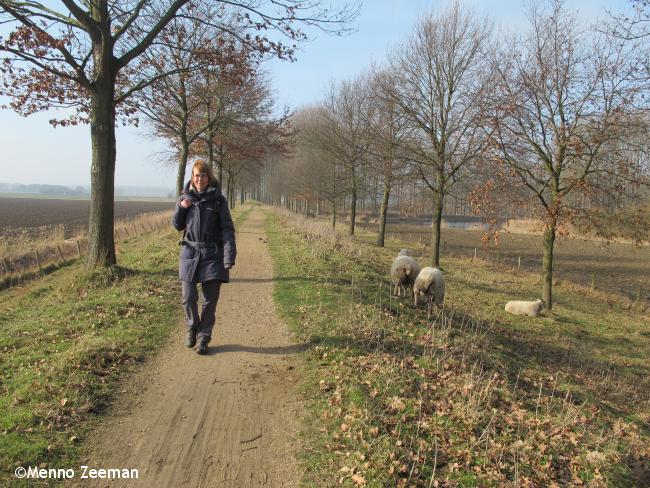 Trage Tocht Koewacht