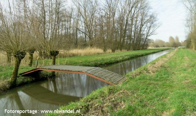 Groene Wissel Schoonrewoerd