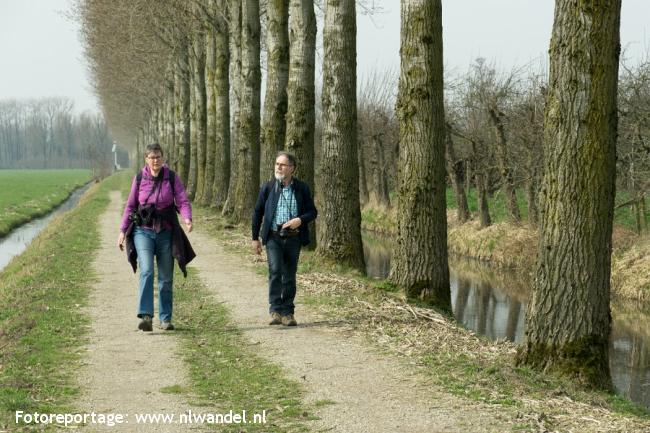 Groene Wissel Meerkerk