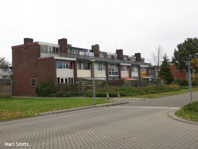 Zuiderzeewijk