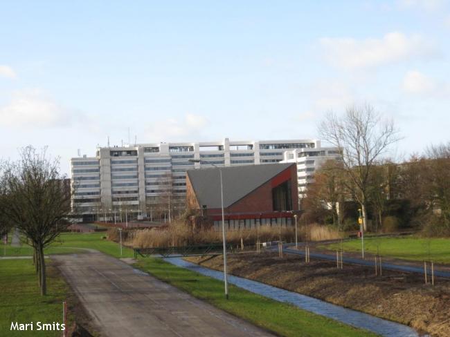 Stadswandeling Lelystad-Oost