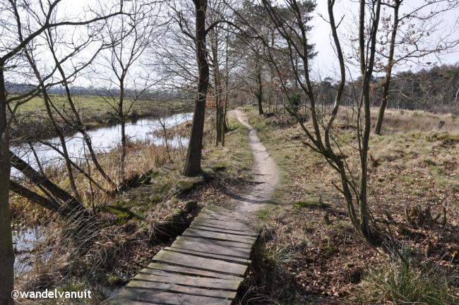 Wandelvanuit Beetsterzwaag