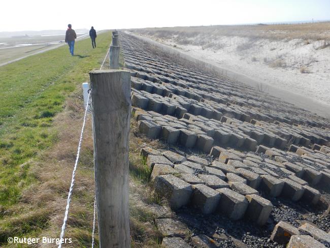 Grasdijk van de Hondsbossche Zeewering