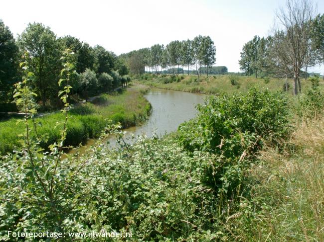 Groene Wissel Goes 1