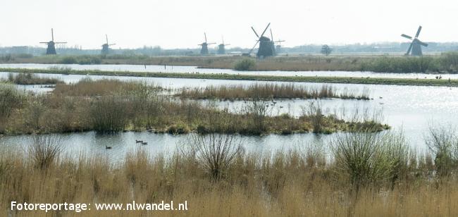 Kinderdijk, molens