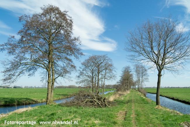 Kade door polder Oud-Goudriaan