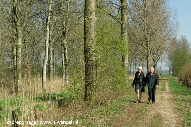 Groene Wissel Sliedrecht Baanhoek