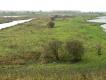 NS-wandeling Waterlinie Culemborg
