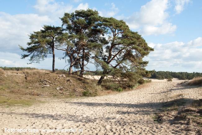 NS-wandeling Hierdense Poort