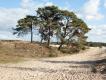 NS-wandeling Hierdense Poort