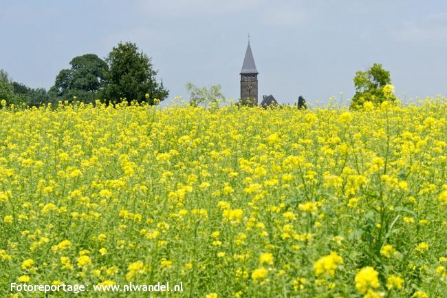 NS-wandeling Limburgs Plateau