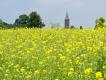 NS-wandeling Limburgs Plateau