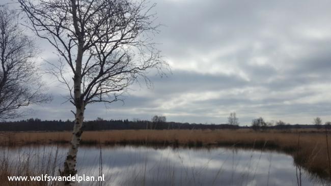 Trage Tocht Beetsterzwaag