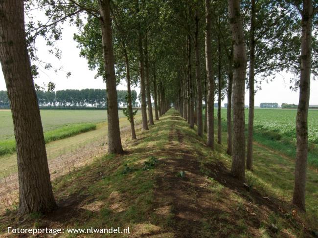 Groene Wissel Krabbendijke