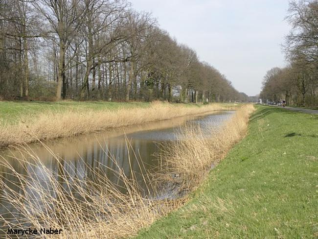 Schotbroekweg langs het kanaal Almelo-Nordhorn