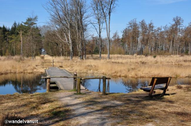 Wandelvanuit Bakkeveen