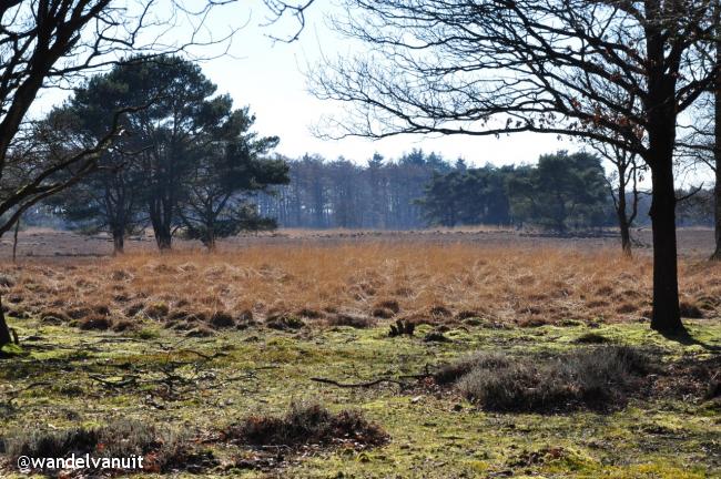 Wandelvanuit Bakkeveen