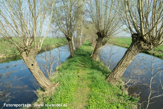 Groene Wissel Alblasserdam